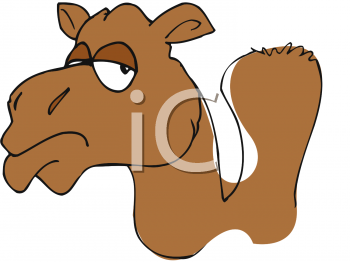 Camel Clipart