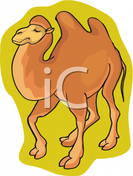 Camel Clipart