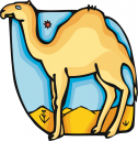 Camel Clipart