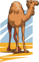 Camel Clipart