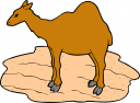 Camel Clipart