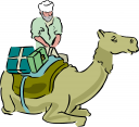 Camel Clipart