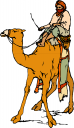 Camel Clipart