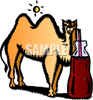 Camel Clipart