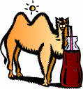 Camel Clipart