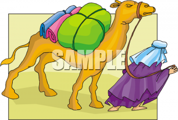 Camel Clipart