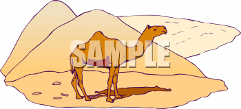 Camel Clipart