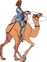 Camel Clipart