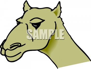 Camel Clipart