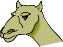 Camel Clipart