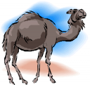 Camel Clipart