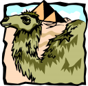 Camel Clipart