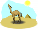 Camel Clipart