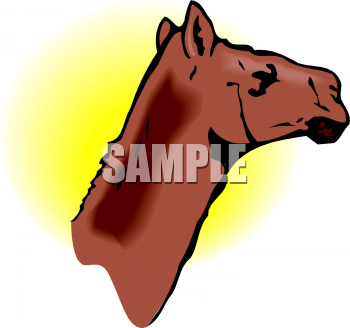 Camel Clipart