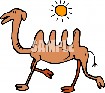 Camel Clipart