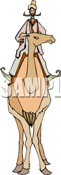 Camel Clipart