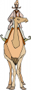 Camel Clipart