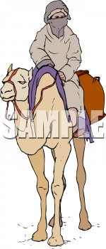 Camel Clipart