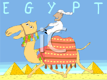 Camel Clipart