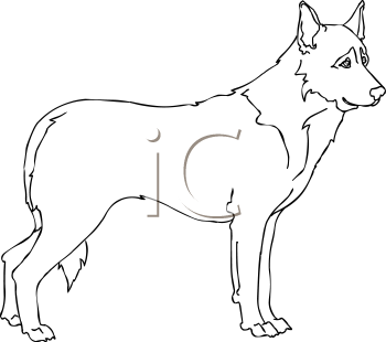 Dog Clipart