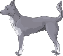 Dog Clipart