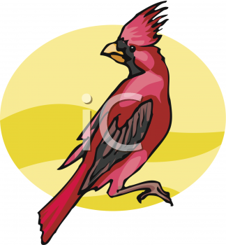 Cardinals Clipart