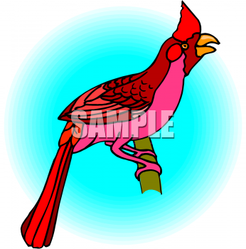 Royalty Free Cardinal Clipart