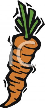 Carrot Clipart