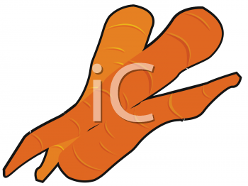 Carrot Clipart