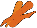 Carrot Clipart