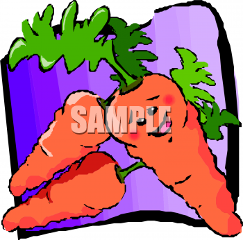 Carrot Clipart