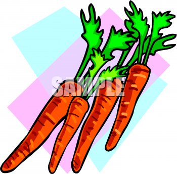 Carrot Clipart