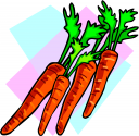 Carrot Clipart