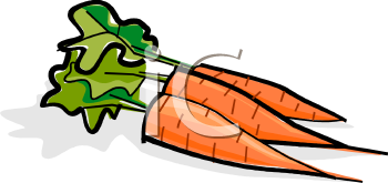 Carrot Clipart