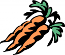 Carrot Clipart