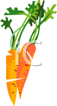 Carrot Clipart