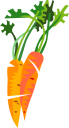 Carrot Clipart