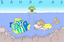 Fish Clipart