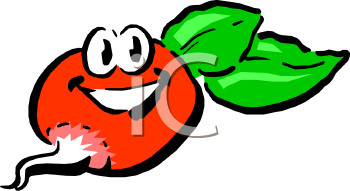 Radish Clipart