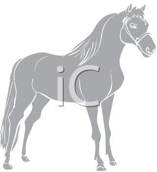 Royalty Free Horse Clipart