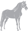 Horse Clipart