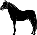 Horse Clipart