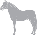 Horse Clipart