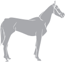 Horse Clipart