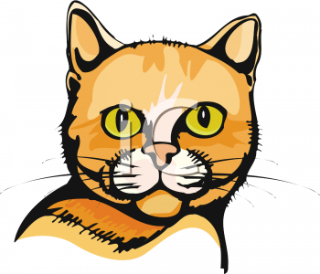 Cat Clipart