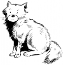 Cat Clipart