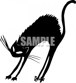 Cat Clipart