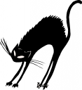 Cat Clipart