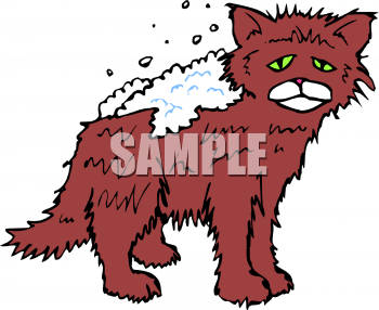 Cat Clipart