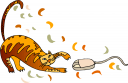 Cat Clipart